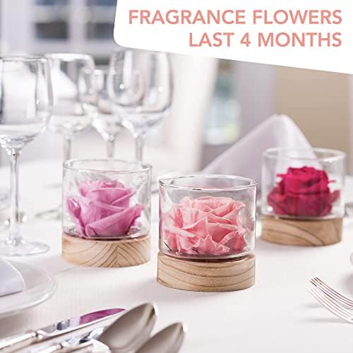 Perfume em casa 12 onças | Flores cortadas frescas hidratadas para durar 4 meses | Rosas para entrega Dia das mães | Presentes