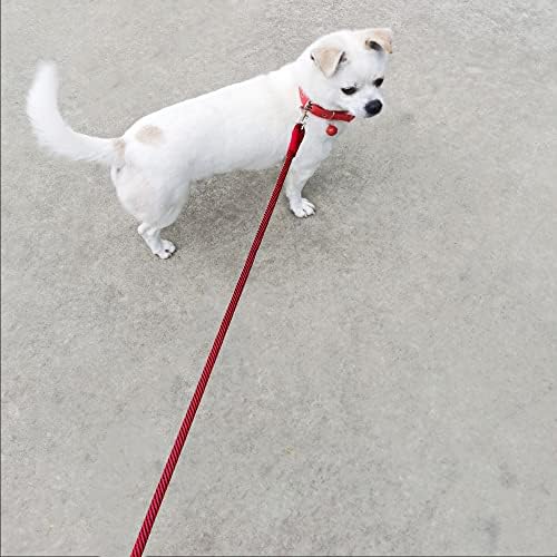 Boswany Small Dog Leash 7 pés, corda de nylon leve para animais de estimação, gatos, pequenos animais cães médios andando