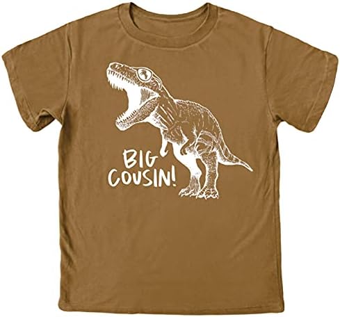 Camisetas de dinossauros de primo grande para meninos e meninos divertidos roupas de família