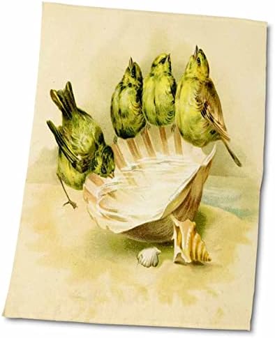 3drose Florene Victorian - 4 pássaros vitorianos em uma concha - toalhas