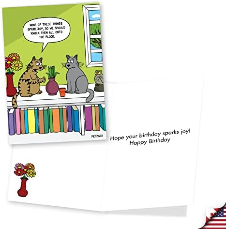 Nobleworks variou 3 pacote de cartuns de aniversário de humor de gatos com envelopes gatos risos vc2805bdg-c1x3