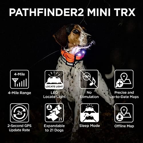 Dogtra Pathfinder 2 Mini TRX Receptor adicional Dog Rastreador GPS LED LED ORANGE CLAR