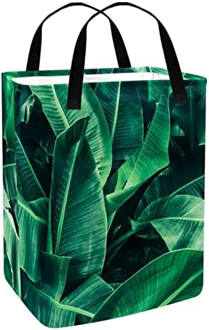 Tropical Summer Plant Green Folhas imprimíveis cesto de roupa colapsível, 60l de lavanderia à prova d'água de roupas de lavagem de