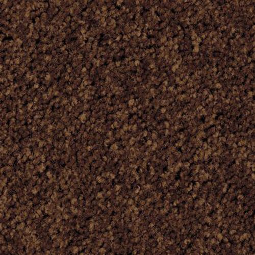 Andersen 64 Chocolate Nylon Grand Impressions HD TAT DE LOGOTE COM BAIXO DE VINIL E BORRAGEM, 3 'LIMPENCIMENTO x 2' Largura