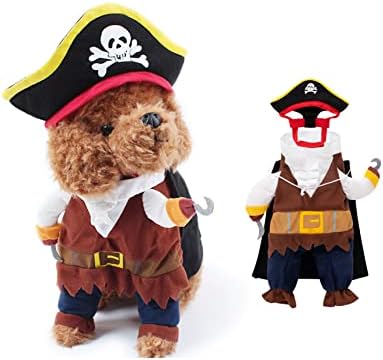 Trajes de piratas de Halloween de cães engraçados- estilo caribenho de gato de gato de gato halloween vestindo traje de festa