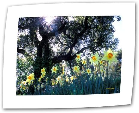 Daffodils Artwall e o carvalho 12 por 18 polegadas de tela plana/lamada por Kathy Yates com borda de sotaque de 2