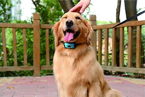 Pet Bay Store: colarinho anti -casca de cachorro inovador