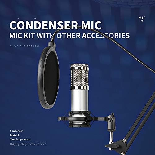 Microfone NIZYH Microfone Profissional de Condensador