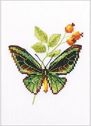 RTO Briar & Butterfly Counts Cross Stitch Kit-3.25 X3.5 16 contagem