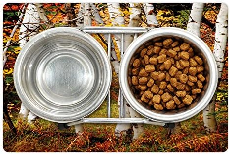 Ambsosonne Fall Pet Tapete Para comida e água, bétulas brancas de outono com folhas de outono Crescimento Ecologia