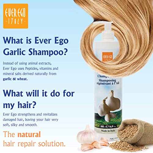 Ever ego Itália Shampoo de alho para cabelos danificados, branqueados ou coloridos | Reparando e hidratando Produto de Cuidados com Cabinetes para Homens e Mulheres | Raminada de 500 ml