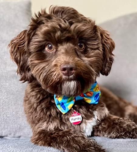 Huxley e Kent Bow Tie para animais de estimação | Festa Blue | Velcro de velcro tirha de gravata borboleta acessório | Diversão laços de arco para cães e gatos | Bonito, confortável e durável | H&K Biroga