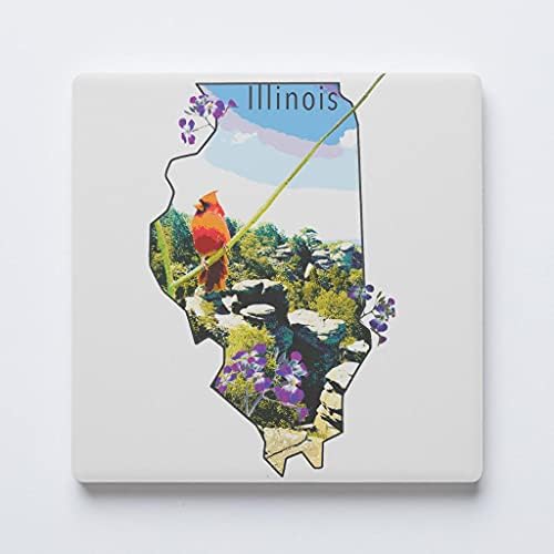 Montanha-russa do estado de Illinois, decoração de casa de Joyride, montanha-russa de cerâmica única, montanha-russa quadrada individual