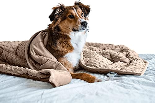 Filhote de fralda - cobertor de cachorro ponderado | Especialmente projetado para cães ansiosos | Extra confortável | Tecido premium minky | Minchas de vidro hipoalergênicas | Amarelo | Grande 6 lb.