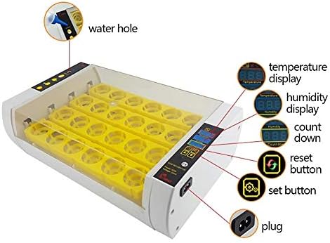 Zapion ovo incubadora automática torneamento digital 24 ovos para codornas de frango pombos Controle de umidade de temperatura