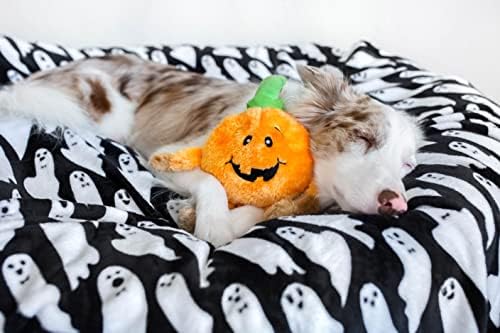 ZippyPaws - Halloween Holiday Bréy Squeak Plush Dog Toy - Pumpkin