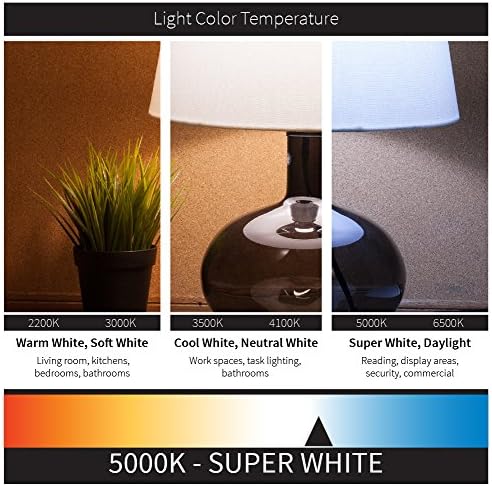 Sunlite 49181-Su LED Circular Circular Circular Top Commercial Outdoor Acessor, acabamento de bronze com fosco, 8800 lúmens, 120-277 V 80 watts 50k-Super White