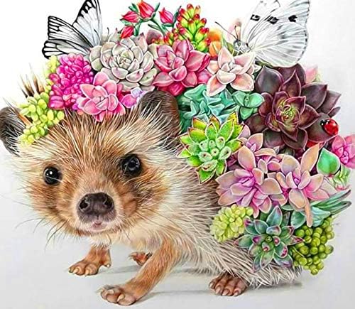 Miniose Full Reound Drill 5D Pintura de diamante diy Hedgehog & Flower 3D Diamond Bordery Cross Stitch Decoração de casa sem moldura 12x16 polegadas