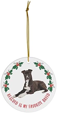 Presentes de cachorro engraçados da montanha Cur Brindle 2023 Ornamentos de árvore de Natal resgatados é minha raça favorita
