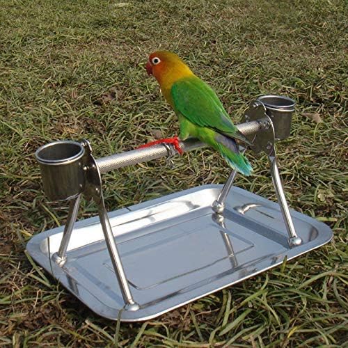 Litewood Bird Pold Stand Stand Standless Aço de mesa de aço com xícaras de alimentação Bandeja para periquito periquito Cockatiel