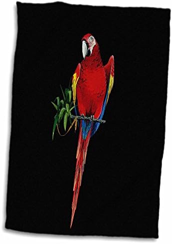 3d rosa colorido scarlet macaw papaga