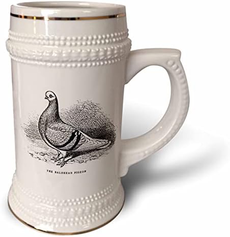 3drose vintage pigeon arte ilustração de cabeça careca raça chiques for. - 22 onças de caneca