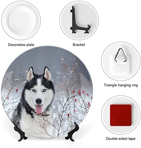 Cão husky siberiano em um prato decorativo de cerâmica de inverno com exibição pendurada no aniversário personalizada