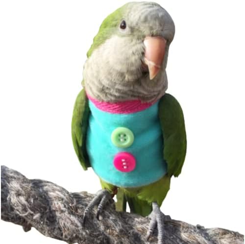 Roupas de pássaros - camisa artesanal de suéter de pássaro com botões de traje de vôo para papagaios africanos cinzas periquoras