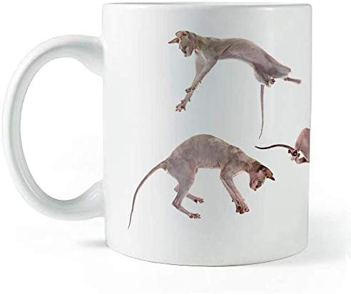 Sphynx gato pulando em torno do copo! - Caneca de café e chá