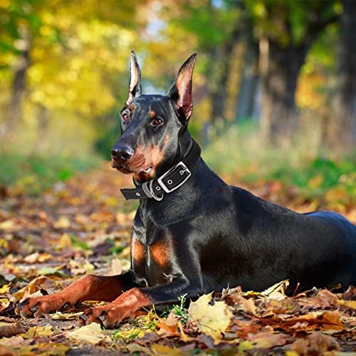 Colarinho de cachorro acolchoado com nylon acegeniu com retenção de airtag, colares de animais de estimação ajustáveis ​​macios e amplos com fivela de cinto de metal durável para cães pequenos médios grandes