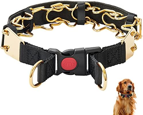 Correiras de ouro prateado colares de ponta de cachorro, aço inoxidável ajustável para serviço pesado forte e largo treinamento