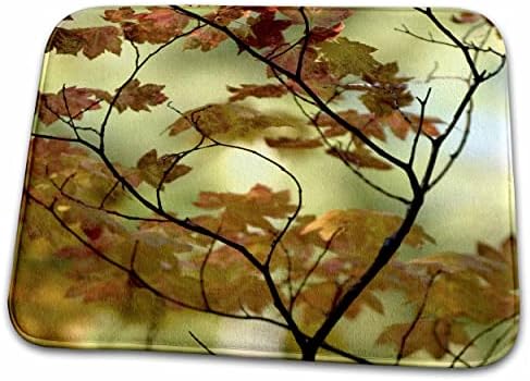3drose Autumn Tree Branch - NA01 JDA0005 - Janell Davidson - tapetes de tapete de banheiro do banheiro