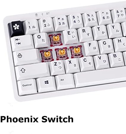 Gk gamakay silent linear phoenix switch e lk67 65% rgb teclado mecânico de diy modular