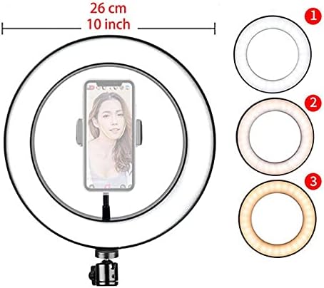 Walnuta 26cm LED Selfie Ring Ring Ring preenche a luz com mini portador de tripé de polvo com clipe para vídeo de