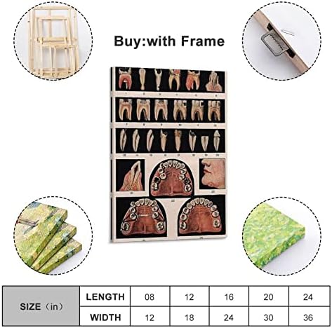 Pôster de pôster vintage Dental Conhecimento Dental Arte Dental Educação odontológica Poster odontológico Poster odontológico Poster