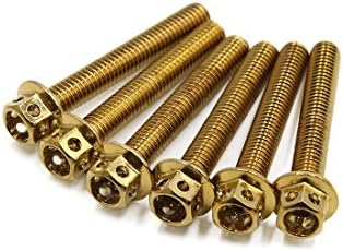 UXCELL 6PCS TOMPO DE OURO M6 X 40MM MOTORCYCILE SCOOTER TITANIUM LEXAGOLHA PARA PARAFUSOS