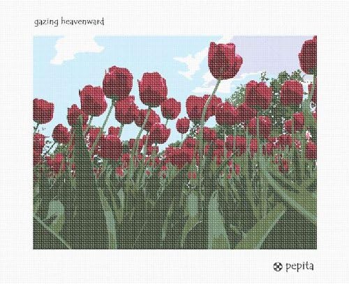 Kit de agulha de Pepita: olhando para o céu, 10 x 7