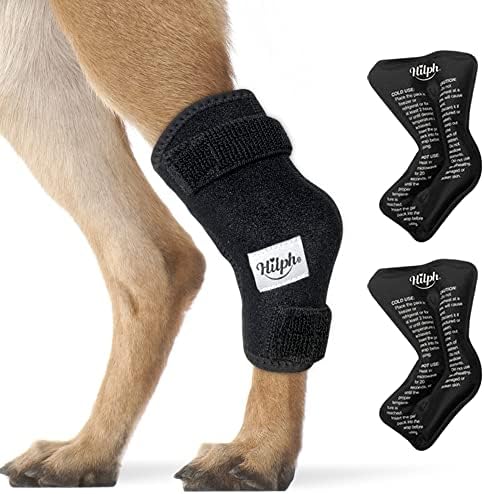 Aparelho de perna de cachorro hilph para cão reutilizável para pernas traseiras, ponte de jarrete da perna traseira de perna