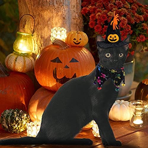 Costume de Halloween da companheira de gatos 2 peças, colarinho de gato de Halloween com sinos e chapéu de bruxa, fantasias de