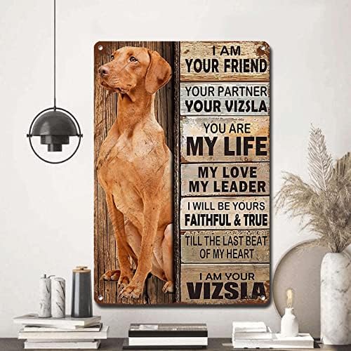 Ymyoo Metal Sign Tin Sign Vintage Wall Art I Am Your Friend Gift for Vizsla A Lovers Vintage Wall Art Prints Arte