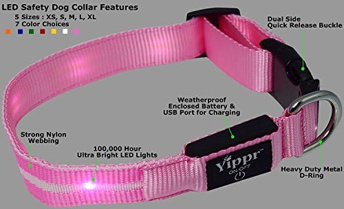 Collar de cachorro LED clássico por YIPP - Cola de cachorro iluminada LED recarregável USB com 4 cenários - Aumente
