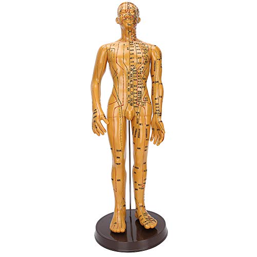 Modelo de acupuntura, modelo de acupuntura corporal, modelo de acupuntura corporal masculina feminina Modelo de Modelo Meridiano de Colera de Cobre Modelo Humano Modelo