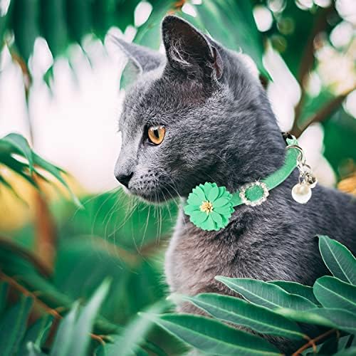 Flystar Cat Collar Breakaway com sinos - colarinho de gato de gato de strass de flor fofo - colarinho floral de diamante ajustável