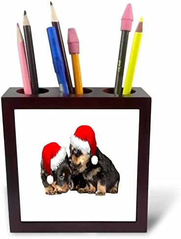 3drose natal Rottweilers usando chapéus de férias festivos - portadores de caneta de azulejos