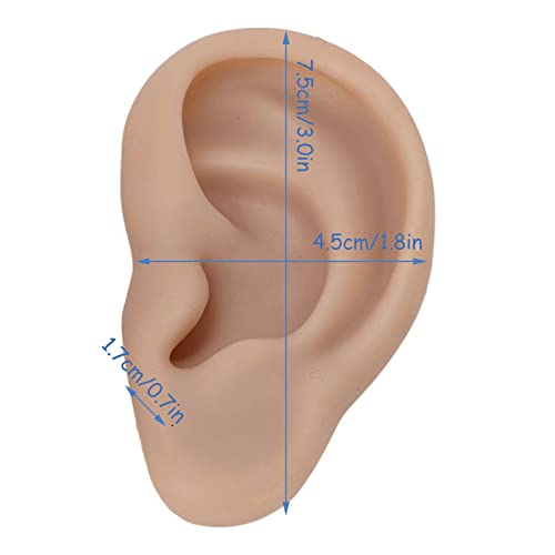 Modelo de orelha de silicone, modelo de orelha macia reutilizável, conveniente para ensinar piercing no ouvido para exibição de
