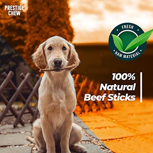 Prestige Chew 12 pacote 6 polegadas bully bastão - bastão de carne natural para cães, guloseimas dentárias saborosas