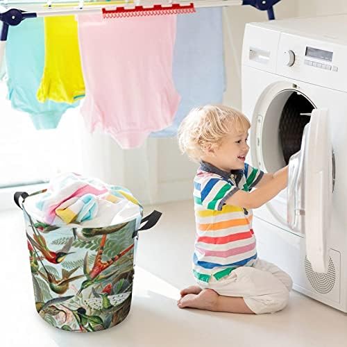 Hummingbird Pattern lavanderia cesto de roupas dobráveis ​​cesto de roupas altas com alças Bolsa de armazenamento