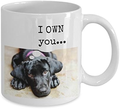 Engraçado Black Labrador Retriever Presente Caneca - Eu possuo você ... - 11 oz. Caneca de café em cerâmica Perfeito para amantes