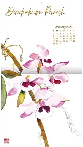 Niquea.d Orquídeas exóticas 2023 Calendário de parede