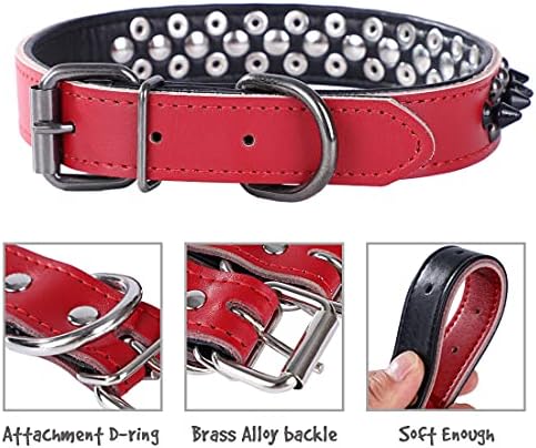 Rachel Pet Products Rivet Spiked Coulded Genuine Leather Dog Collar for Small ou Medium Pet